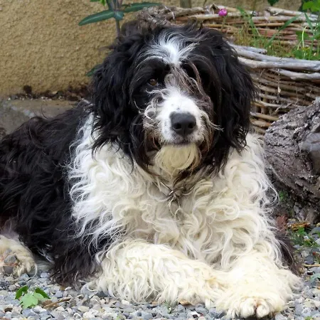 Infocus-du-sud Alojamento de Acomodação e Pequeno-almoço 3*