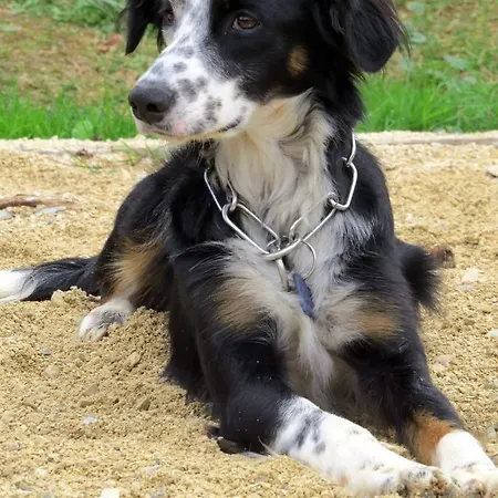 Infocus-du-sud Alojamento de Acomodação e Pequeno-almoço