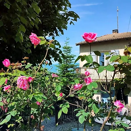 Bed & Breakfast Infocus-du-sud 3*