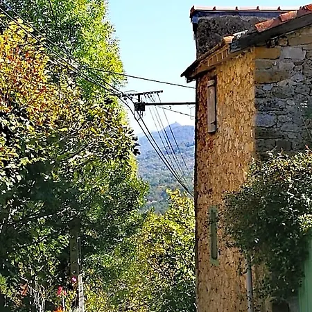 Infocus-du-sud Bed & Breakfast 3*