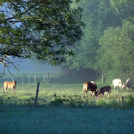 Alojamento de Acomodação e Pequeno-almoço Infocus-du-sud