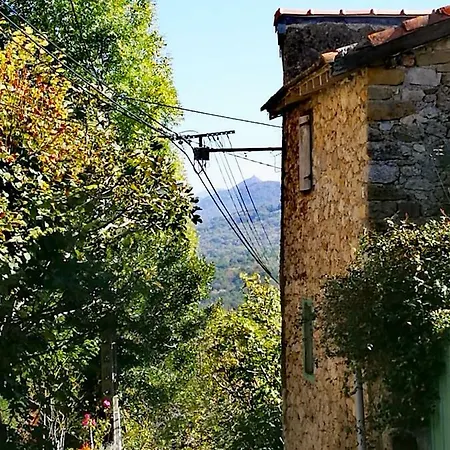 Infocus-du-sud
